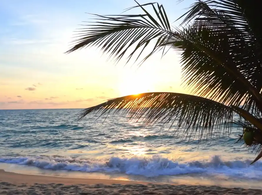 Webdesign für Massagepraxis Lomi Manaloa – Hero-Video mit Palmenstrand und Meer sowie Sonnenuntergang – hawaiianische Atmosphäre der Lomi Lomi Massage