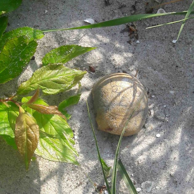 Mindful_Web_Design_Conscious_Creations_Mindful_Web_Design_Mindfulness00009